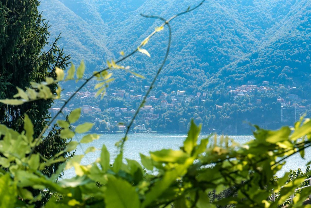 Villa Vittoria - The House Of Travelers Cernobbio Exterior foto
